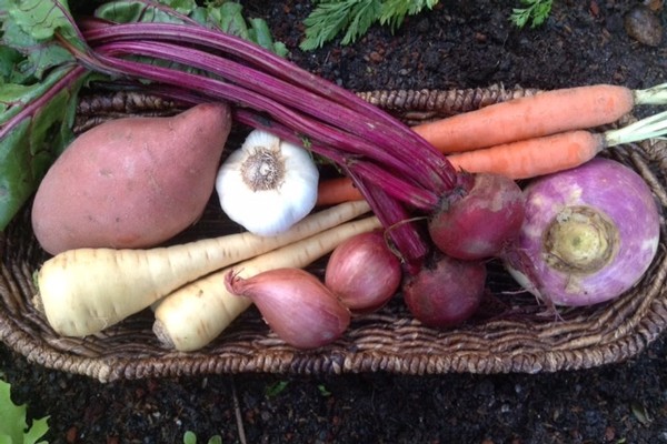 Root Vegetable Hash